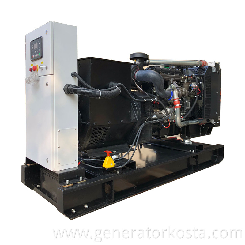 Perkins Diesel Generator